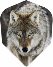 Lone Wolf - 5 sets