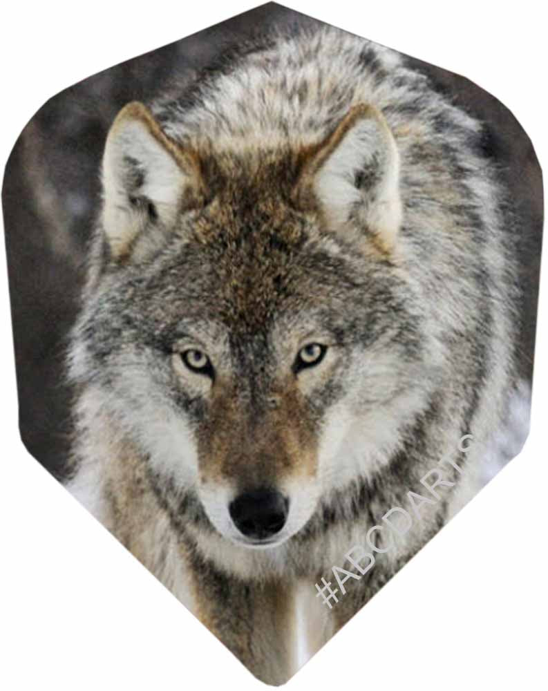 Lone Wolf - 5 sets