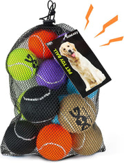 Hondenballen Met Geluid Dog Run and Catch - 12 stuks