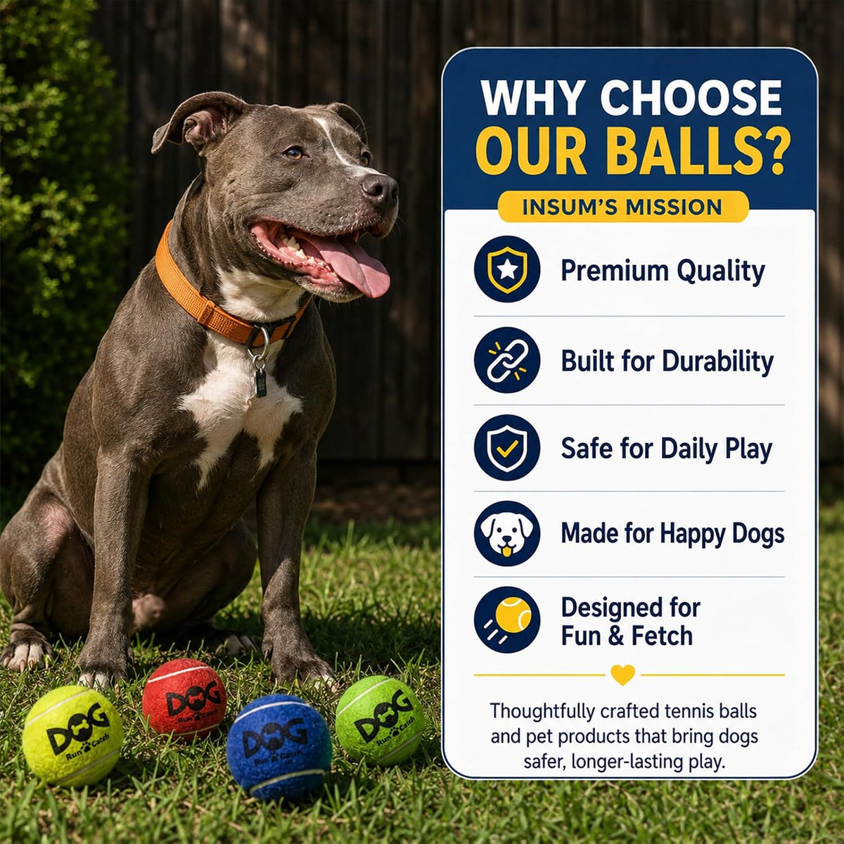 Hondenballen Met Geluid Dog Run and Catch - 12 stuks