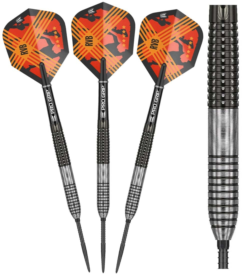 Raymond van Barneveld Gen3 Swiss Point Darts
