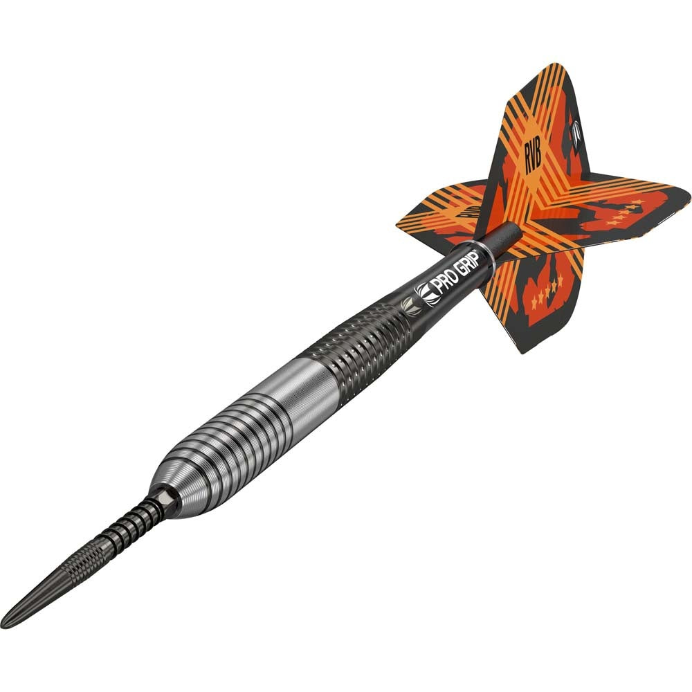 Raymond van Barneveld Gen3 Swiss Point Darts