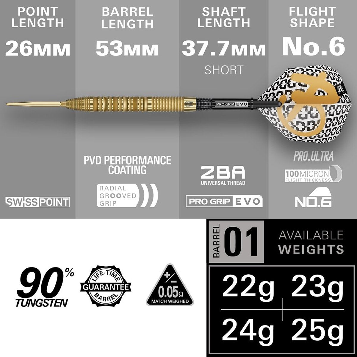 Target Darts Bolide Envy 01 Swiss Point - 23 Gram