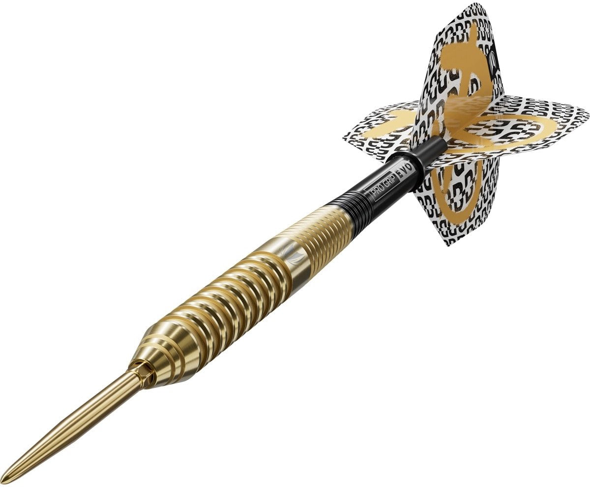 Target Darts Bolide Envy 02 Swiss Point - 23 Gram