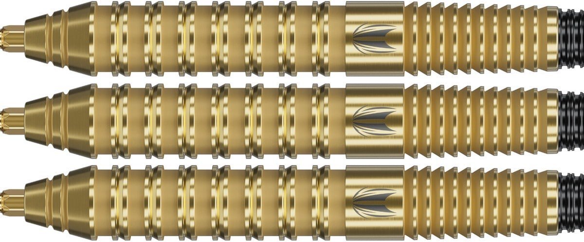 Target Darts Bolide Envy 02 Swiss Point - 23 Gram
