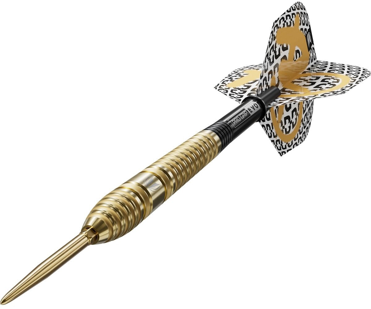Target Darts Bolide Envy 03 Swiss Point - 24 Gram