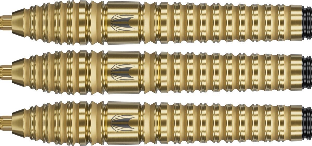 Target Darts Bolide Envy 03 Swiss Point - 24 Gram